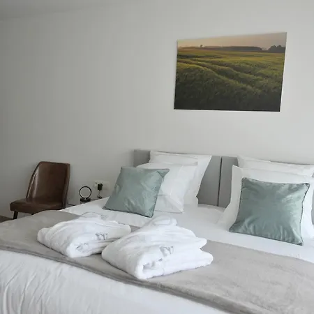 B&B Huyze Fox